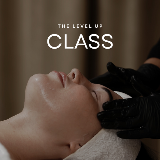 THE LEVEL UP CLASS (20 y 21 de Septiembre Miami, FL)